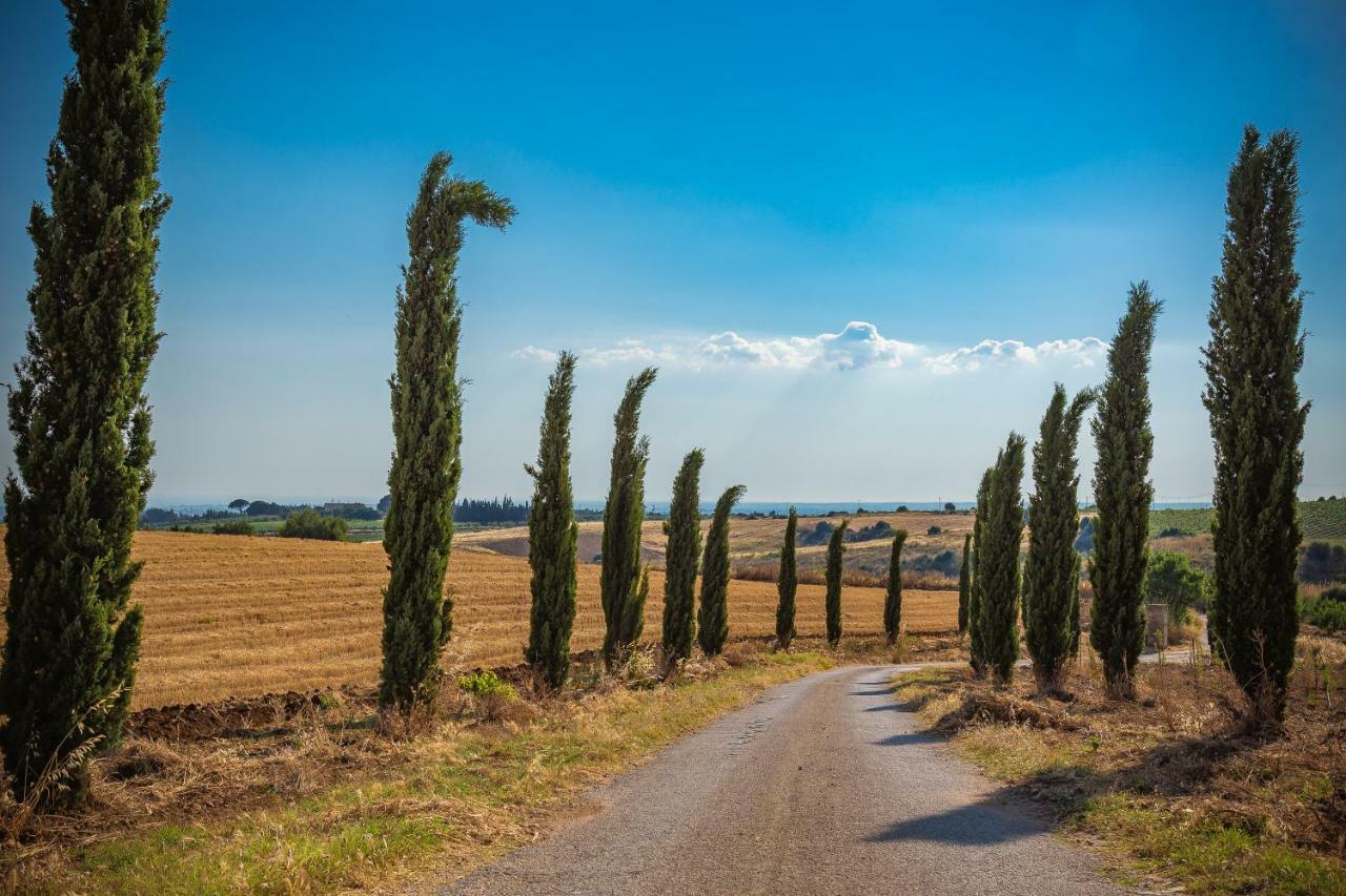 Agriturismo Tenuta Stoccatello Menfi Eksteriør bilde